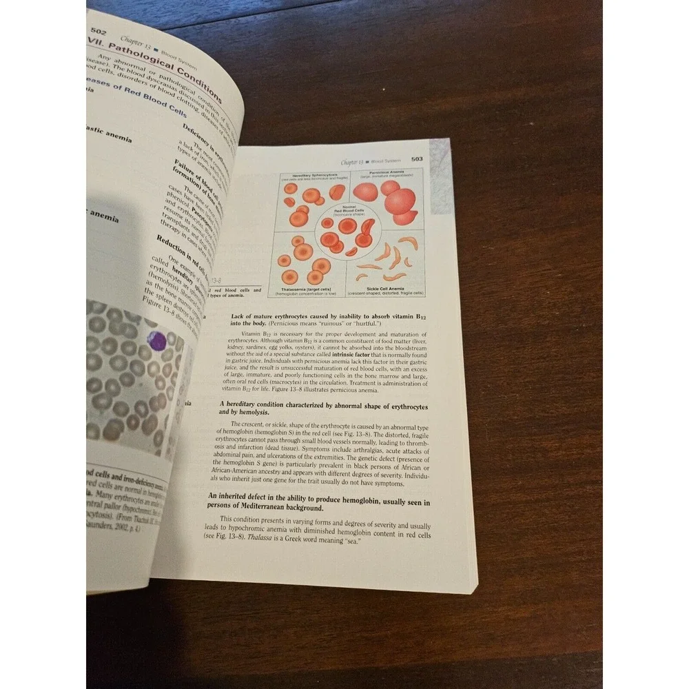 The Language‎ of Medicine 7th Edición by Davi-Ellen Chabner